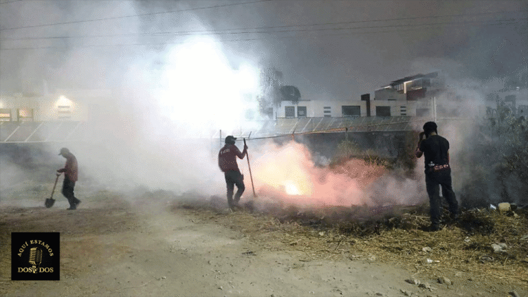 fuego-IMAGEN-DESTACAD